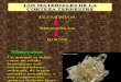 Minerales Formadores de Rocas-diap
