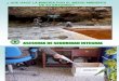 Diapositivas SFesión 20 Tecnologías Limpias en Minería