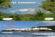Canariones_Idiosincracia Del Canario y Sus Paisajes