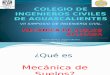 COLEGIO DE INGENIEROS CIVILES.pptx
