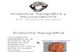 Clase 1 - Introducción Anatomía Topográfica y Neuroanatomía 2013