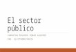 El Sector Público