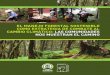 EL MANEJO FORESTAL SOSTENIBLE COMO ESTRATEGIA DE COMBATE AL CAMBIO CLIMÁTICO.pdf