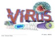 Virus 7ª Ano 2014