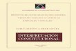 Interpretación Constitucional 2000, 110p