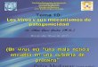 Tema 10 Los Virus y Sus Mecanismos de Patogenicidad