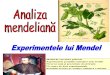 3- Analiza Mendeliana 1