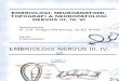 Embriologi, Neuroanatomi, Topografi & Neuropatologi Nervus III, IV, Vi