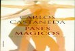 Castaneda, Carlos - Pases Mágicos 13