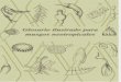 Glosario Ilustrado Para Musgos Neotropicales