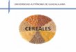 Cereales Tecnología de Alimentos
