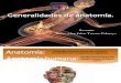 Generalidades de Anatomía - Alex Torres