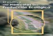 Cultivos Horticolas en Ecoloxico