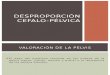 Desproporción cefalo-pélvica.pptx
