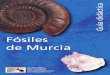 Guia didactica Murcia