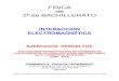 ELECTROMAGNETISMO - ACCESO A LA UNIVERSIDAD.pdf
