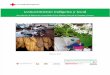 Conocimiento indígena y local: Recopilación de Saberes de comunidades de Las Sabanas, San José de Cusmapa y Somoto