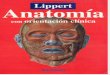 Anatomia Con Orientacion Clinica - Lippert