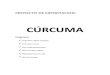 Curcuma Word