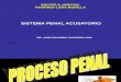 Sistema Penal Acusatorio Dr Saavedra Roa (2)