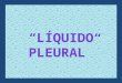 Liquido Pleural