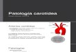 Patologia carótidas