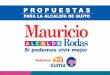 Propuesta de Gobierno del nuevo Alcalde del Distrito Metropolitano de Quito, Mauricio Rodas