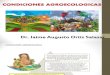 CONDICIONES AGROECOLOGICA.pptx