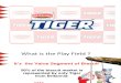 Tiger AWSM Presentation