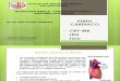 Perfil Cardiaco Diapositivas Grupal