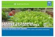 Case Studies UNDP: FARMER-TO-FARMERS PROGRAM (PCAC) SIUNA, Nicaragua