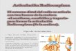 Anatomia- Articulacion RadioCarpiana