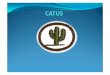 Cactus alimenticios, ornamentales y medicinales - 15 especies