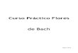 Curso Práctico Flores de Bach