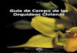 Orquideas Chilenas