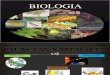 BIOLOGIA - INTRODUCCION -