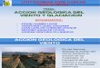 Accion Geologica Del Viento y Glaciacion