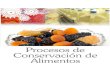 Procesos de Conservación Alimentos