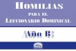 6174348 HM Homilias b