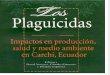 Los plaguicidas: Impactos en la producción salud y medio ambiente en Carchi