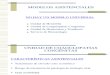 Modelos Asistenciales Multidisciplinarios en Hemofilia.( INFOHEMO 2012) 24.10.12 Dr. Aznar