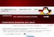 7517445 Comandos Basicos Linux