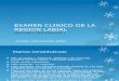 Examen Clinico de La Region Labial