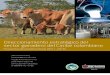 2012 Lombana et al Direccionamiento estratégico del sector ganadero del Caribe colombiano