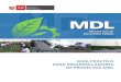 GUIA Práctica para Desarrolladores de Proyectos MDL
