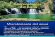 28359784 Microbiologia Del AGUA 4
