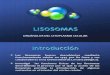 presentacion lisosomas bn