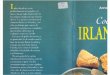cocina irlandesa