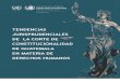 Tendencias jurisprudenciales de la Corte de Constitucionalidad de Guatemala en materia de derechos humanos