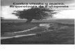 (2004) Nuevos fechados radiocarbónicos para Cerro de los Indios 1 y su proyección areal